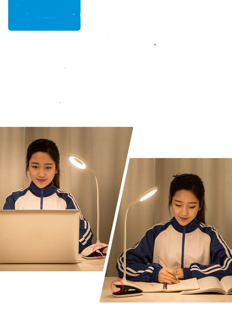 Portable desk light