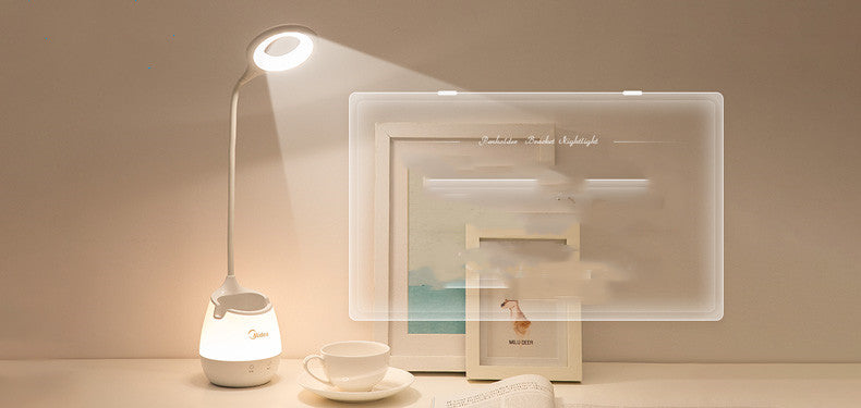 Portable desk light