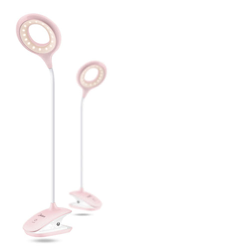 Portable desk light